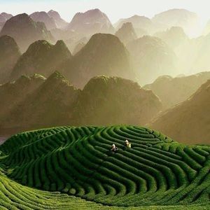 Meet your Posher, Marie